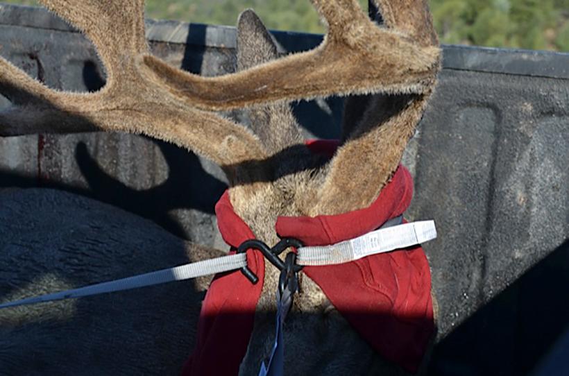 Straps protecting velvet