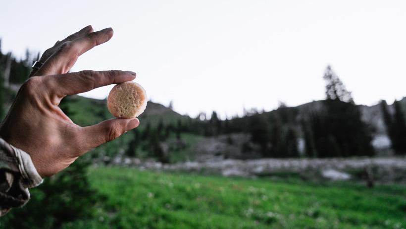 Hot weather hunting tips 1