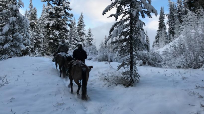 Endless snow, action, disappointments, and adventure on a Wyoming elk hunt - 3