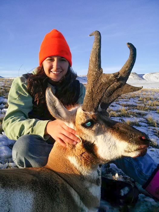 Wyoming antelope with shoshone lodge outfitters 2
