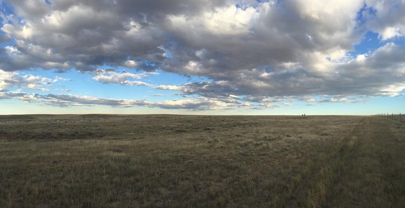 Flat antelope terrain