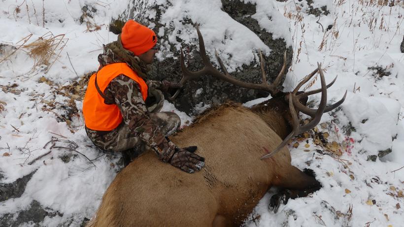 Bryan campos with his bull elk