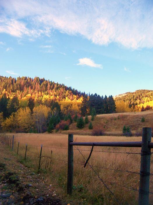 Mountains and prairie grass allergies