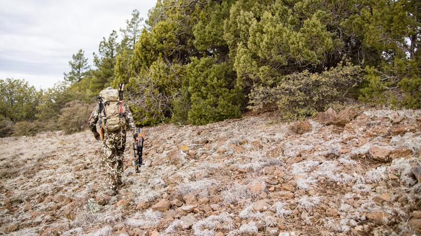 Covering country while hunting