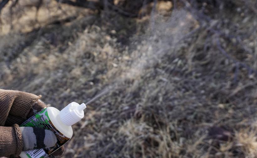 Checking wind while bowhunting