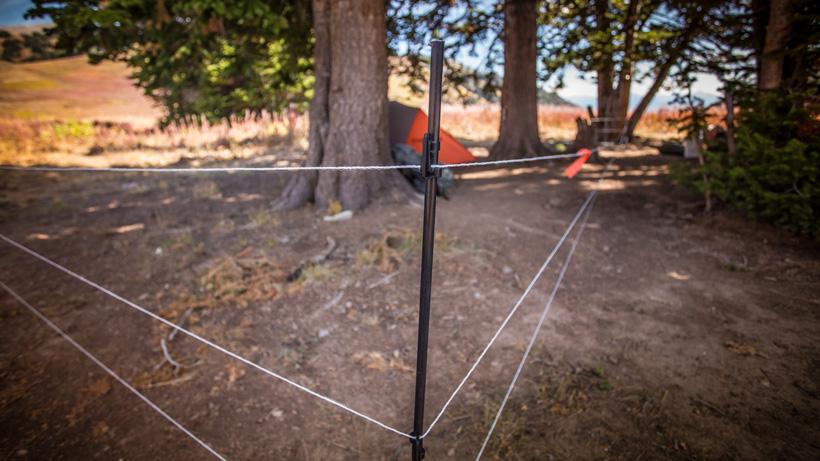 Electric fence while hunting in grizzly country