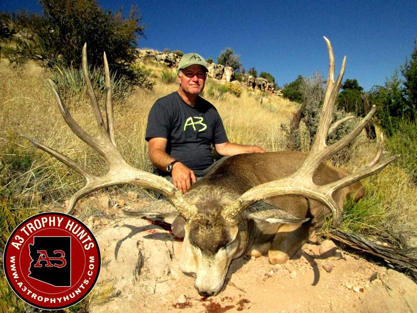 2014 arizona strip mule deer buck_0