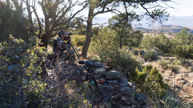 Why you should consider backpack hunting for Coues deer - 0
