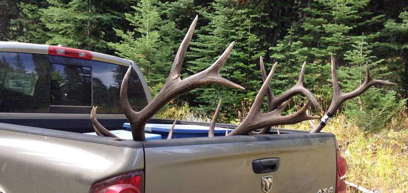 Avoid these top 10 elk hunting mistakes - Part 2 - 8d