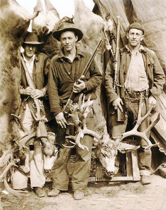 Utah mule deer 1932