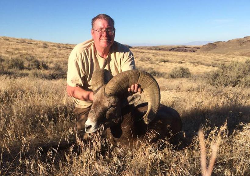 Jay weaver 2016 idaho california bighorn sheep