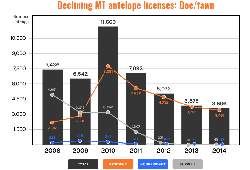 Declining montana antelope licenses doe and fawn