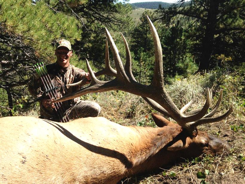 2014 wyoming archery bull elk