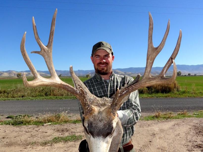 APPLICATION STRATEGY 2016: Idaho Deer, Elk and Antelope - 0d