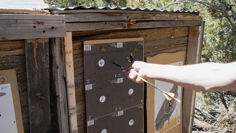 Archery training tips to become a better bowhunter - 0
