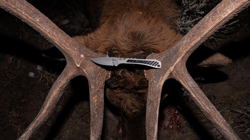Tur carbon pro knife on elk antlers