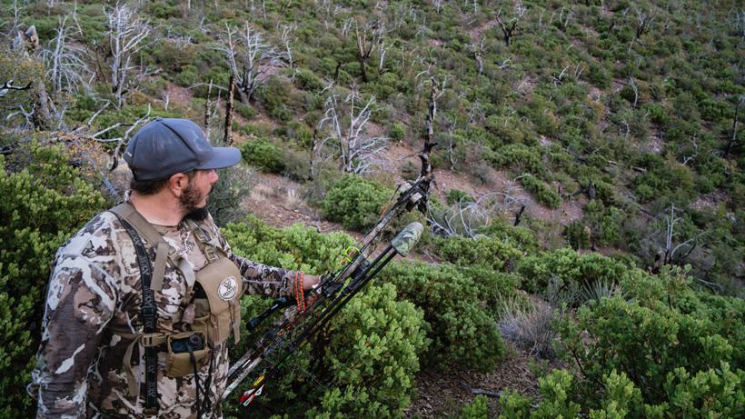 Stalking a buck with a bow