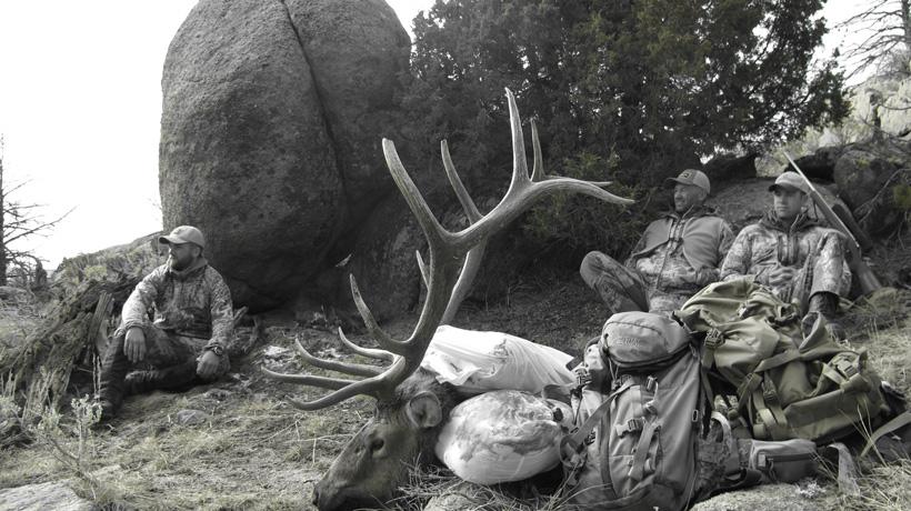 Randy newberg wyoming bull elk pack out