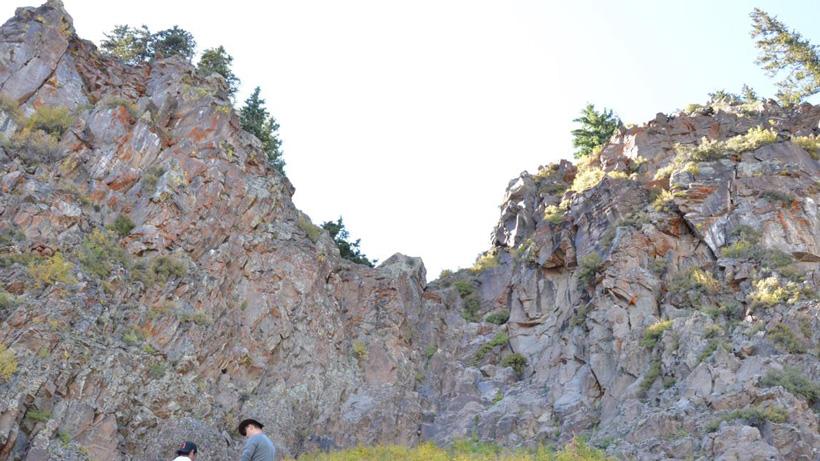 Cliff the mountain goat fell down