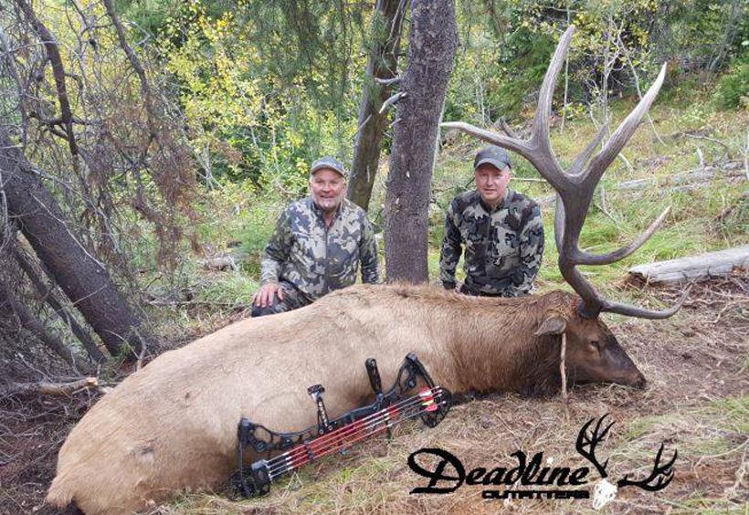 Bull elk taken with deadline outfitters