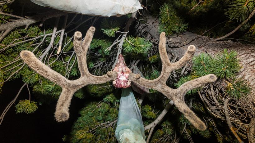 Essential tips for your first time hunting out of state - 2