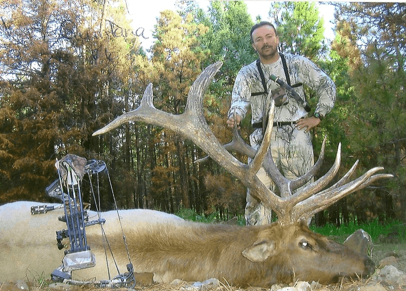 Gila monster outfitters bull elk