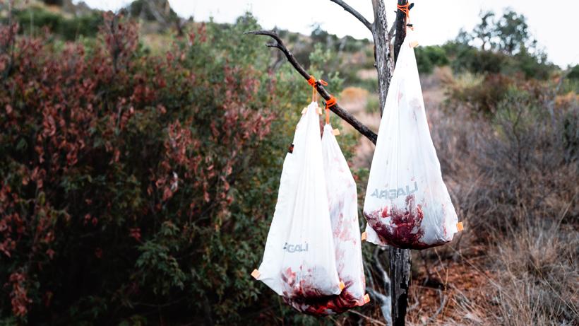 Argali serac knife 6