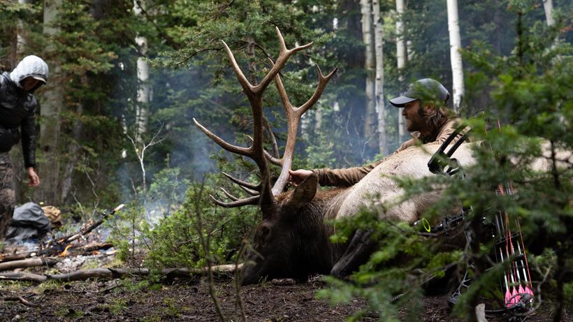 Tag Teaming Elk During An Archery Hunt - 0