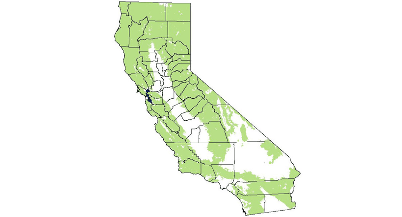 California mountain lion distribution
