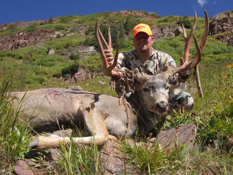 Brandon evans mule deer