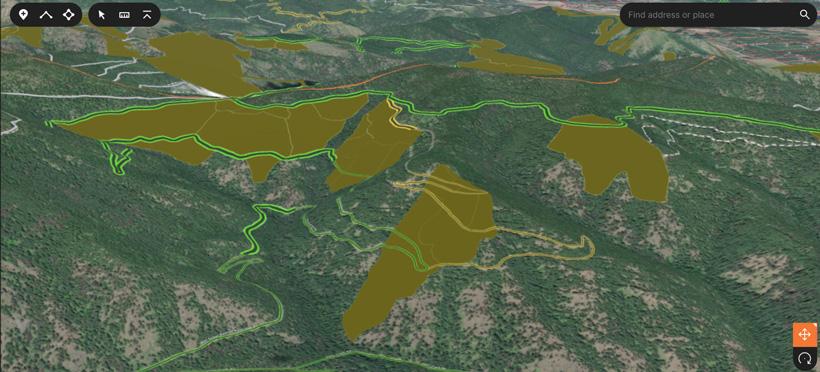 Using timber cut layer for spring bear hunting
