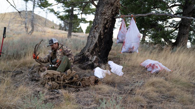 Argali serac knife 3