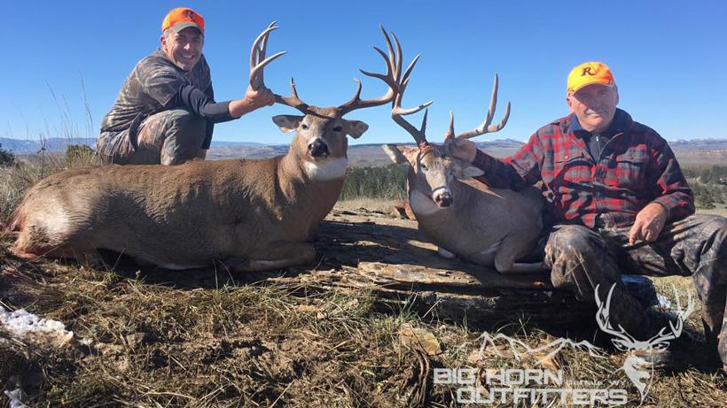 Pair of wyoming whitetail bucks taken with bighorn outfitters