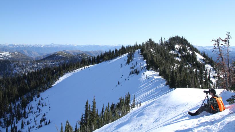Glassing for late november mule deer in montana
