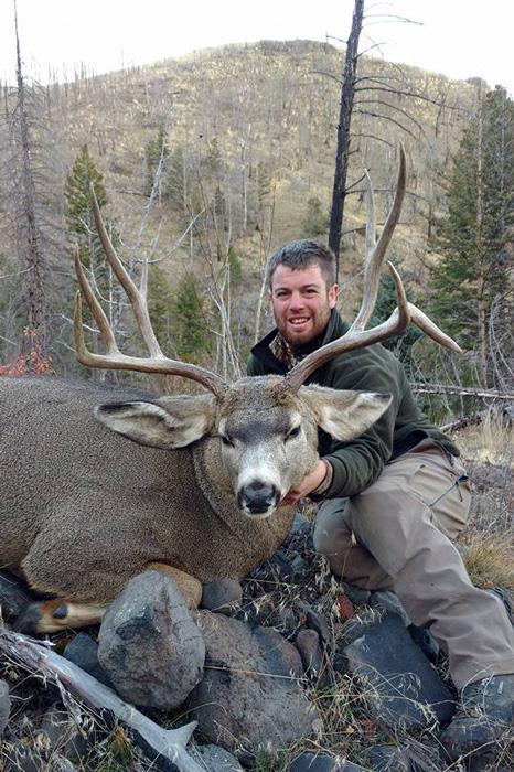 2016 wyoming mule deer taken with shoshone lodge outfitters