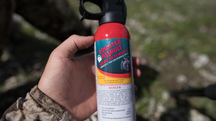 Bear spray