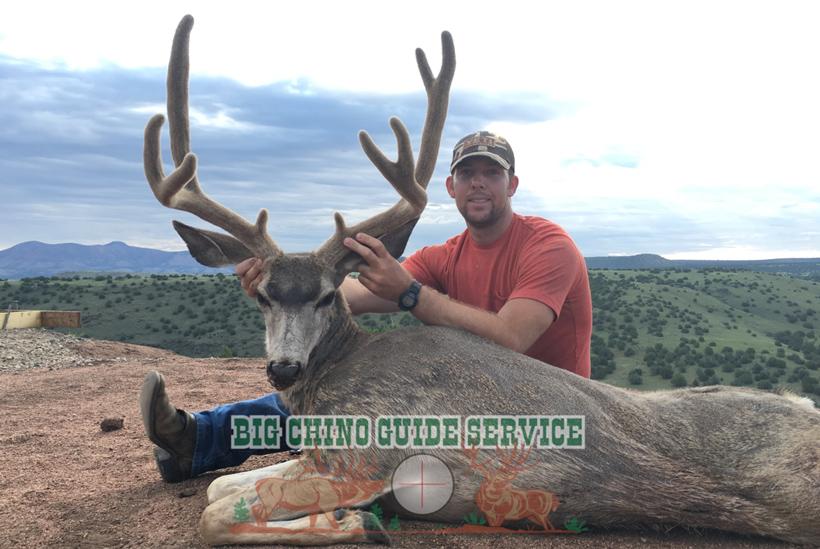 Arizona otc mule deer taken with big chino outfitters