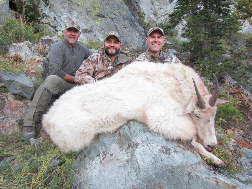 Idaho mountain goat