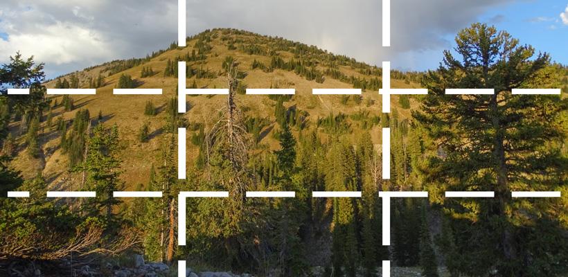 Rule of thirds gridline for glassing