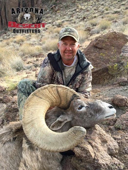 Arizona desert bighorn sheep taken with arizona desert outfitters