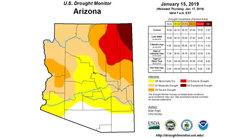 APPLICATION STRATEGY 2020: Arizona Antelope - 2d