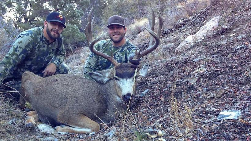 Lorenzo mule deer 2