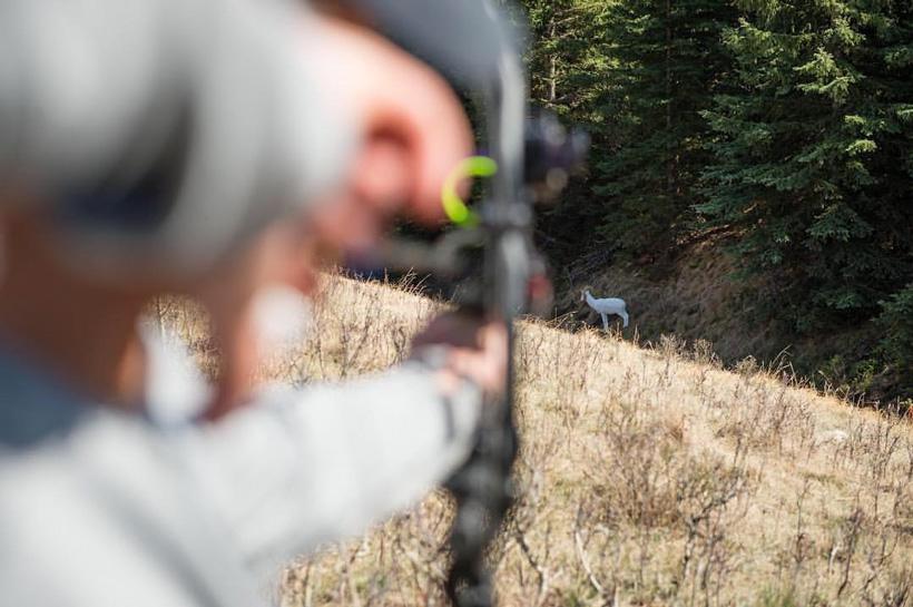 Target practice to simulate real hunting