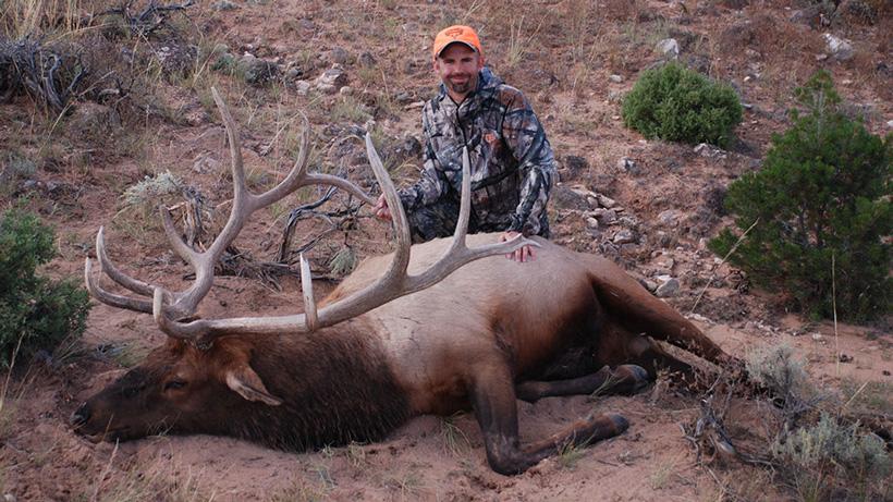 Bull elk taken with sportsmans hunting adventures