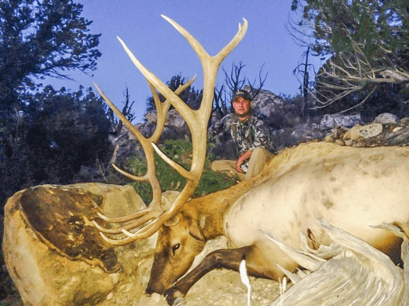 APPLICATION STRATEGY 2015: New Mexico deer, elk, antelope - 4d