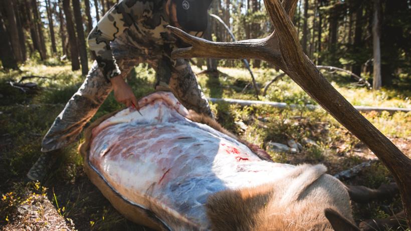 A beginner’s guide to processing your own wild game meat - 0
