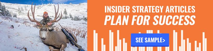 Gohunt_insider_bar_5