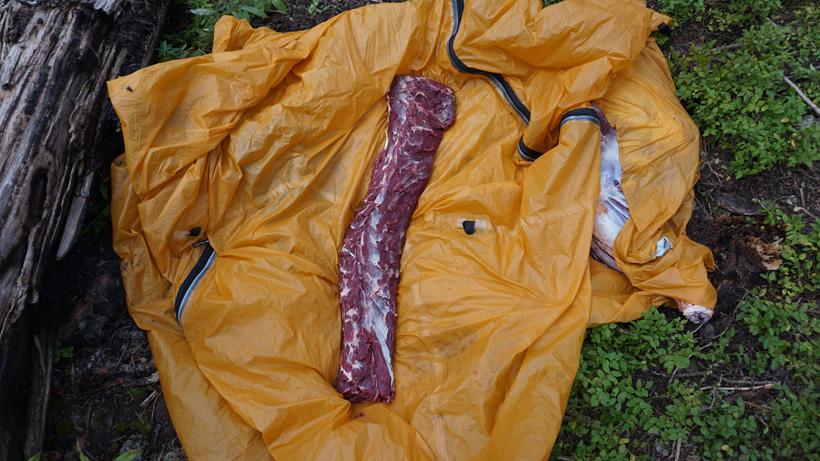 Why you should have a lightweight tarp in your pack - 6