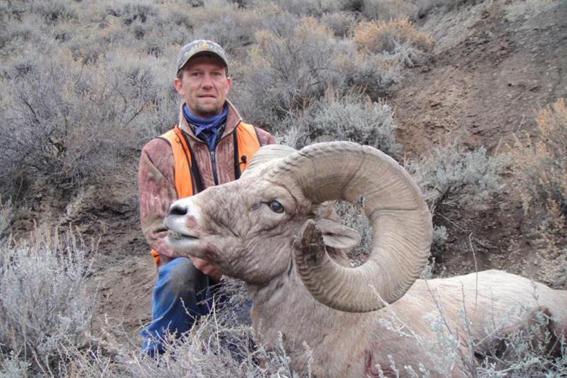 APPLICATION STRATEGY 2015: Montana sheep, moose, goat, bison - 0d