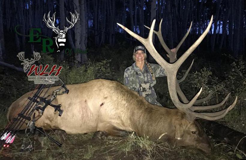 2017 utah elk taken with wade lemon hunting